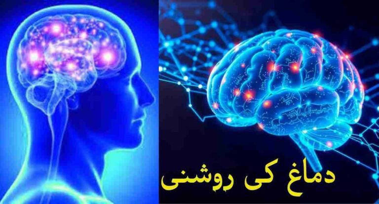 دماغ کی روشنی