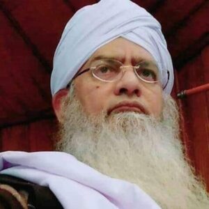 پیر ذوالفقار احمد